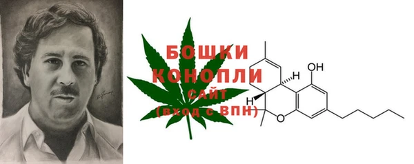 ПСИЛОЦИБИНОВЫЕ ГРИБЫ Арсеньев