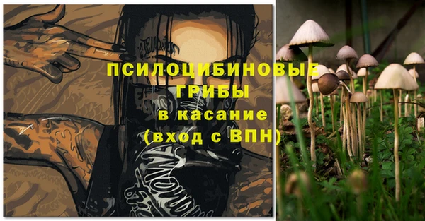 трава Нязепетровск