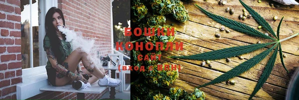 ПСИЛОЦИБИНОВЫЕ ГРИБЫ Арсеньев