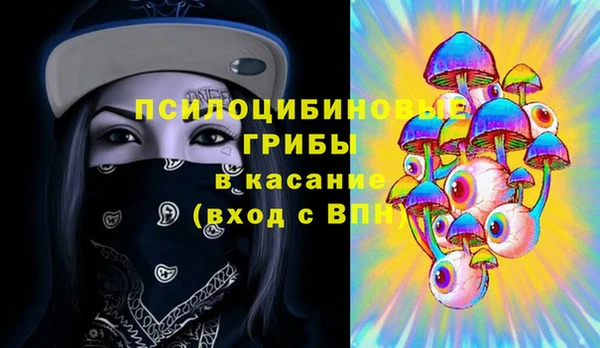 ПСИЛОЦИБИНОВЫЕ ГРИБЫ Арсеньев
