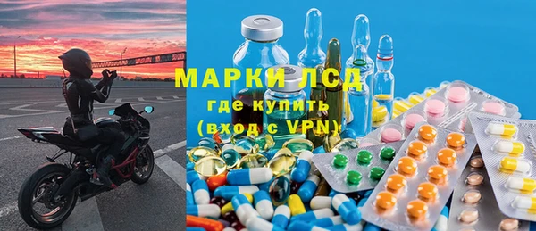 ПСИЛОЦИБИНОВЫЕ ГРИБЫ Арсеньев