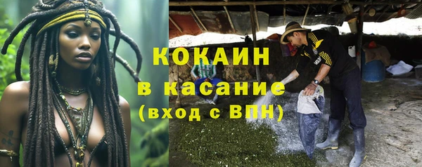 ГАЛЛЮЦИНОГЕННЫЕ ГРИБЫ Армянск